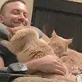 Cat Boarding Client Testimonial